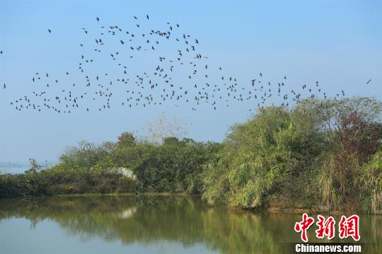 湖北宜昌统筹系统推进水环境治理 呵护长江水资源