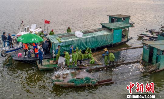 江西仙女湖投放逾200万斤鱼苗 增殖放流修复水产资源