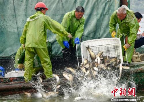 江西仙女湖投放逾200万斤鱼苗 增殖放流修复水产资源