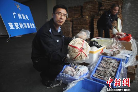 广州海关查获走私冷冻穿山甲和蛤蚧