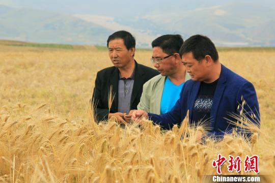 青海打造全域绿色有机农畜产品示范省