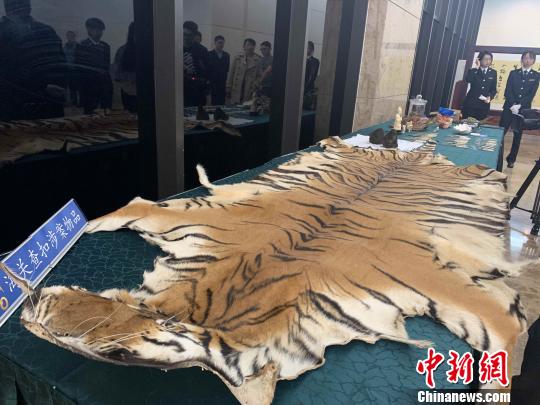 青岛、济南海关严查濒危物种走私