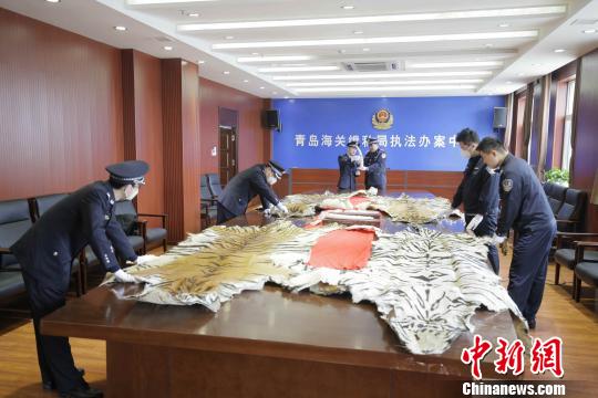 青岛、济南海关严查濒危物种走私