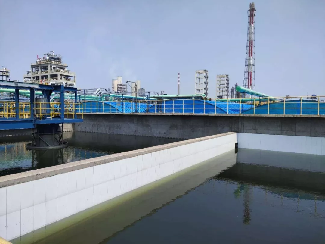 二沉池 清水池.jpg