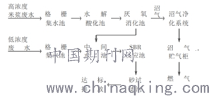2(31636).png
